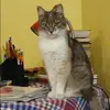 Отзыв от Вероника Федорова